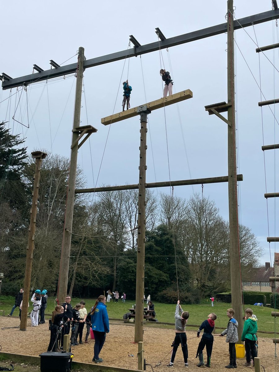 BVS Year 4 tweet media