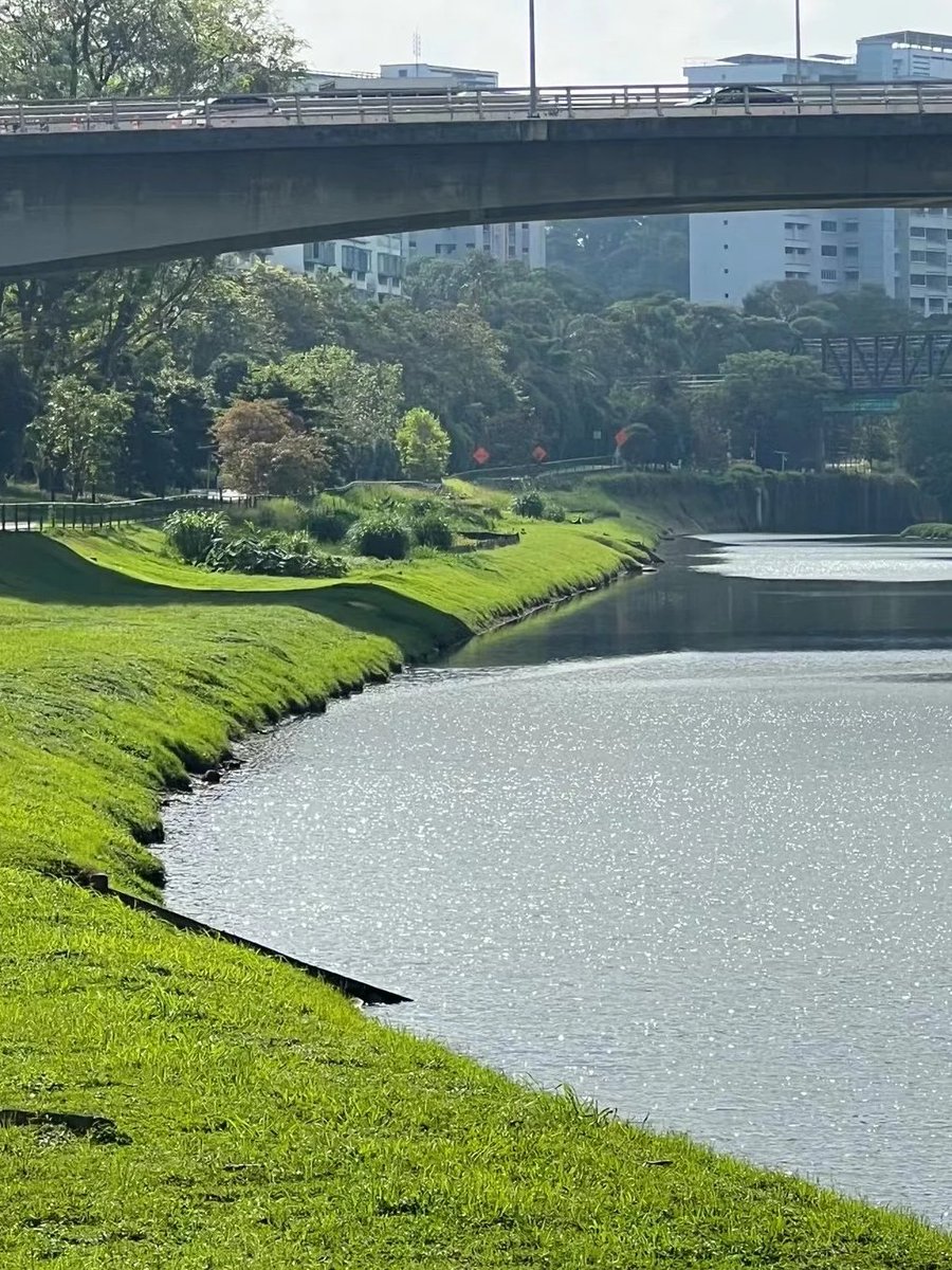 ZCL_zwsa's tweet image. Going for a walk in the morning, the weather is nice today