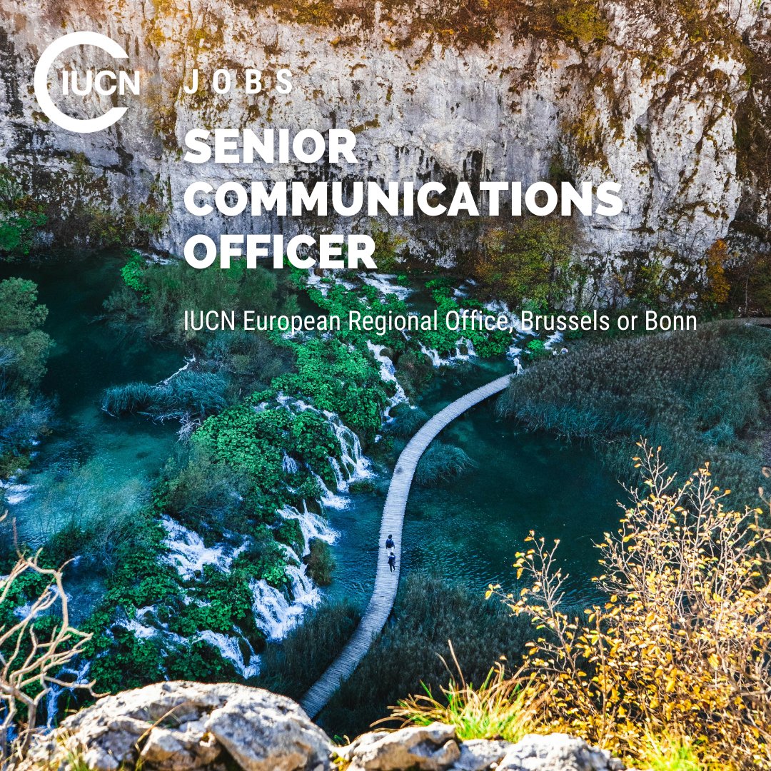 IUCN European Regional Office (@iucneurope) on Twitter photo 📢 We’re hiring! Passionate about biodiversity & EU policy? Join <a href="/IUCNEurope/">IUCN European Regional Office</a> as our Senior Communications Officer & lead strategic comms for conservation!📍 Brussels or Bonn 📅 Apply by April 13, 2025 🔗 bit.ly/41Zj4Ud 📢 We’re hiring! Passionate about biodiversity & EU policy? Join <a href="/IUCNEurope/">IUCN European Regional Office</a> as our Senior Communications Officer & lead strategic comms for conservation!📍 Brussels or Bonn 📅 Apply by April 13, 2025 🔗 bit.ly/41Zj4Ud