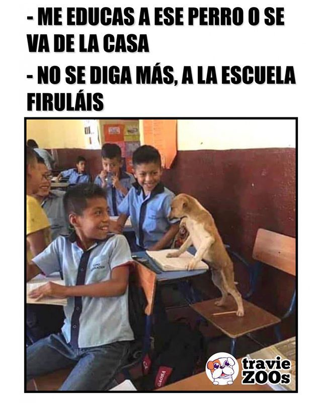 ElderAcost's tweet photo. #MemeMartes

𝔻𝕚𝕟𝕒𝕞𝕚𝕔𝕒𝕎𝕒𝕣𝕣𝕚𝕠𝕣𝕤
🤣
Detonación de Memes
🤣
Comparte tu meme,
@ tus amigXs y diviértete como nunca
@carher0663
@WarriorDaih
@deleonmanuel82
@millo_moni
@fernandomzoboli
@oscargra07
@Danijose69
@GabrielZoboli1
@fily79601331660
@alex_93fh
@antoniaparra8 https://t.co/d8cihnSkzC