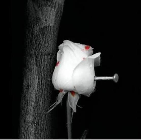 جني الجاسرالاهلي الوطن والقمة والحياة🦅 tweet media