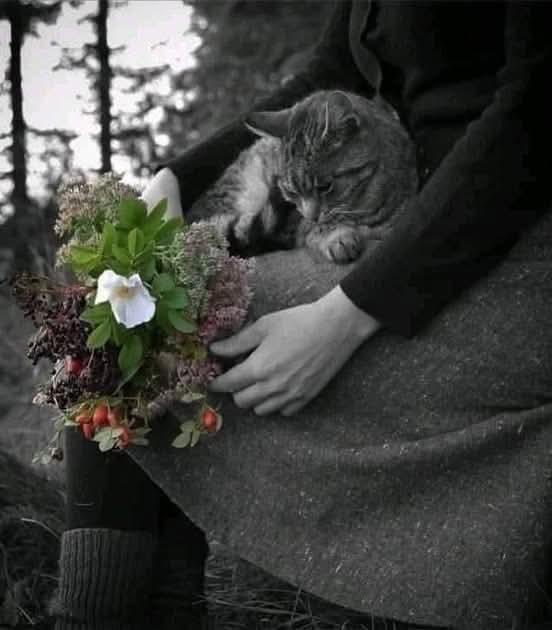 Le 
cose 
 belle 
si 
tengono 
 strette