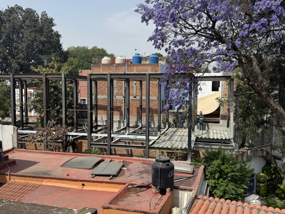 Diego Saturno (@diegosatur) on Twitter photo Vecinos documentamos la corrupción inmobiliaria de <a href="/giogutierrezag/">Giovani Gutiérrez</a> en <a href="/Alcaldia_Coy/">Alcaldía de Coyoacán</a>, quienes aceptan que existen construcciones sin permiso y NO HACEN NADA.
En pleno centro de #Coyoacan construyen edifico a pesar de ser área de conservación patrimonial jornada.com.mx/2025/03/24/cap… Vecinos documentamos la corrupción inmobiliaria de <a href="/giogutierrezag/">Giovani Gutiérrez</a> en <a href="/Alcaldia_Coy/">Alcaldía de Coyoacán</a>, quienes aceptan que existen construcciones sin permiso y NO HACEN NADA.
En pleno centro de #Coyoacan construyen edifico a pesar de ser área de conservación patrimonial jornada.com.mx/2025/03/24/cap…