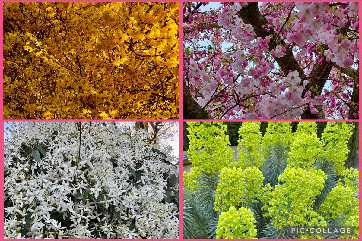 Spring has sprung