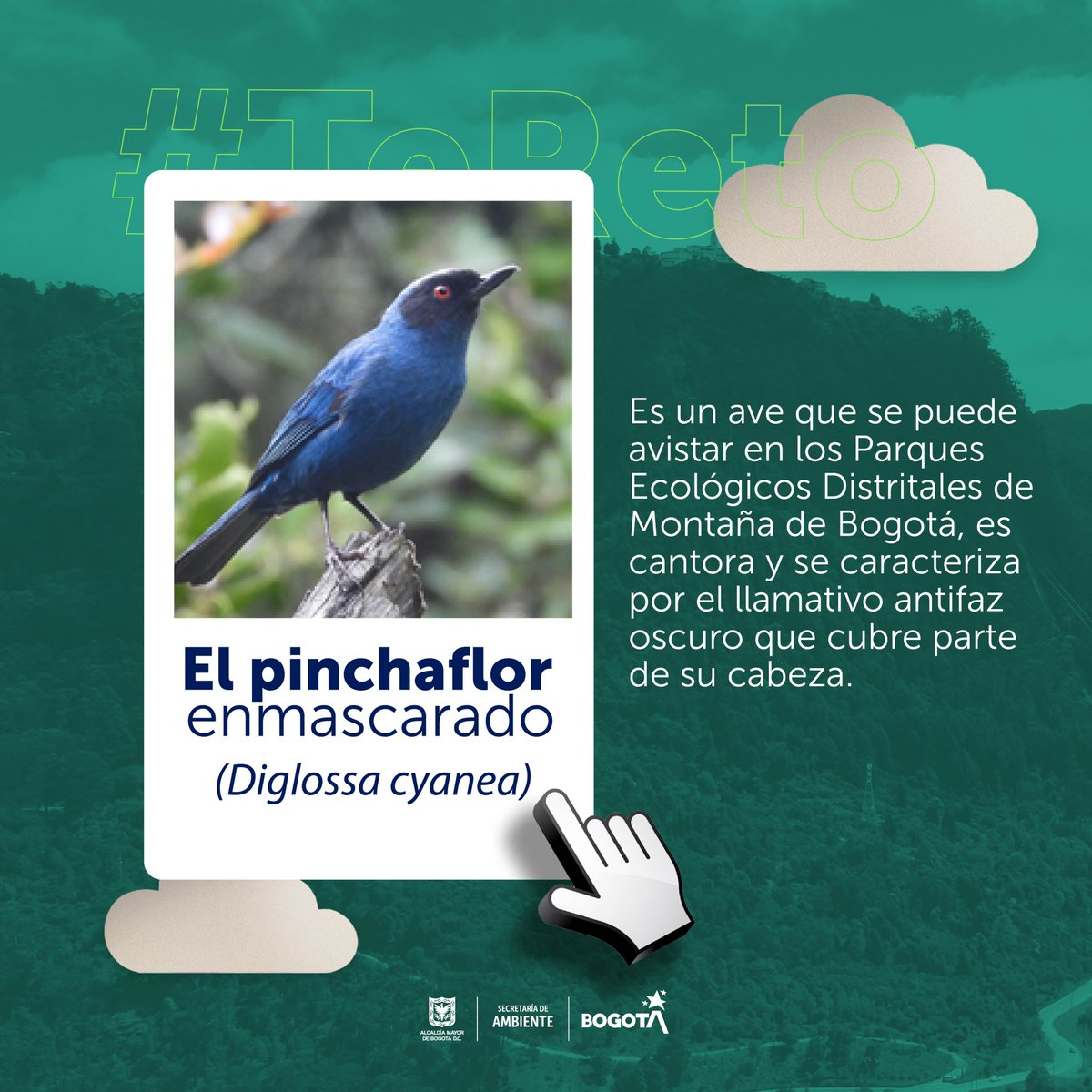 Ambientebogota's tweet photo. ¡#TeReto! 🤓
🔎 ¿Qué tanto sabes sobre el ambiente de Bogotá? 🌿💧
Pon a prueba tus conocimientos sobre fauna, flora, aire y agua con el nuevo test del Observatorio Ambiental de @AmbienteBogota.
👉 Participa en https://t.co/3XXHgccVjB https://t.co/nFdgRC13dw