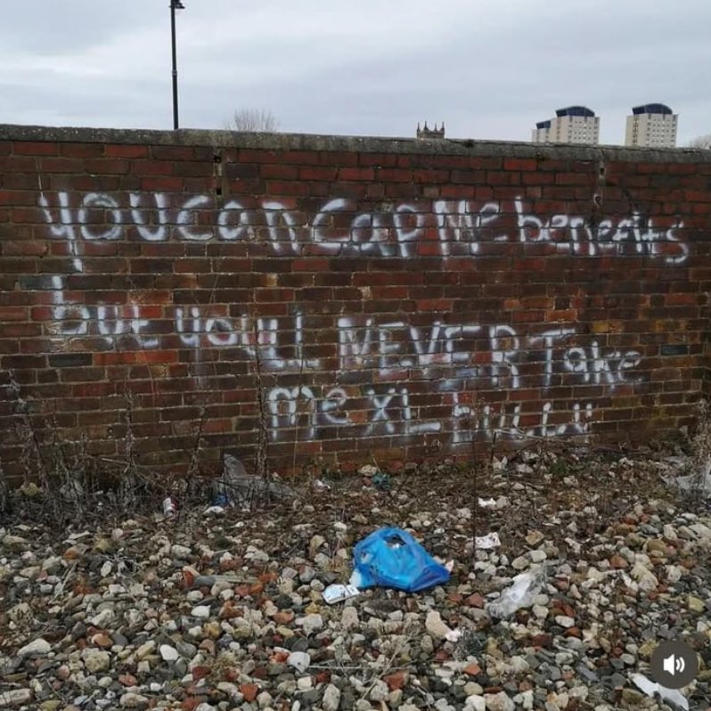 I love political graffiti.