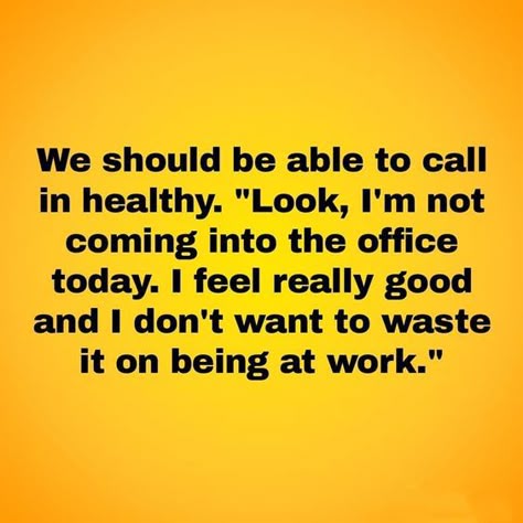 realbobandbrad's tweet image. 😄 Sometimes, we need to prioritize our health and well-being. Here&apos;s to those days when we’re thriving and need to make the most of it! 💪 #SelfCare #WorkFromHomeVibes #HealthFirst