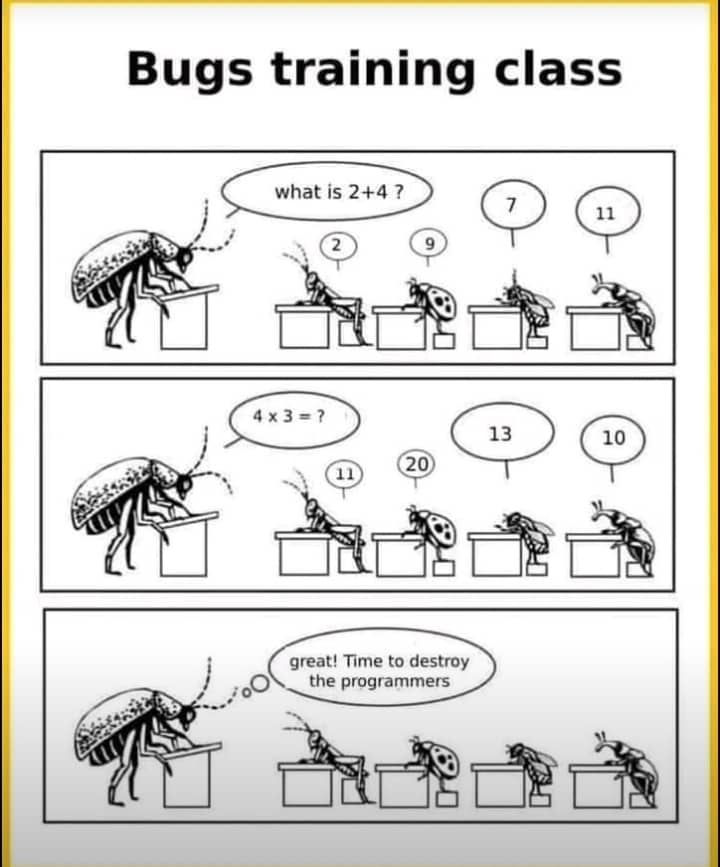 oga_edith's tweet image. Bugs training class #programmingtutorial #bugs