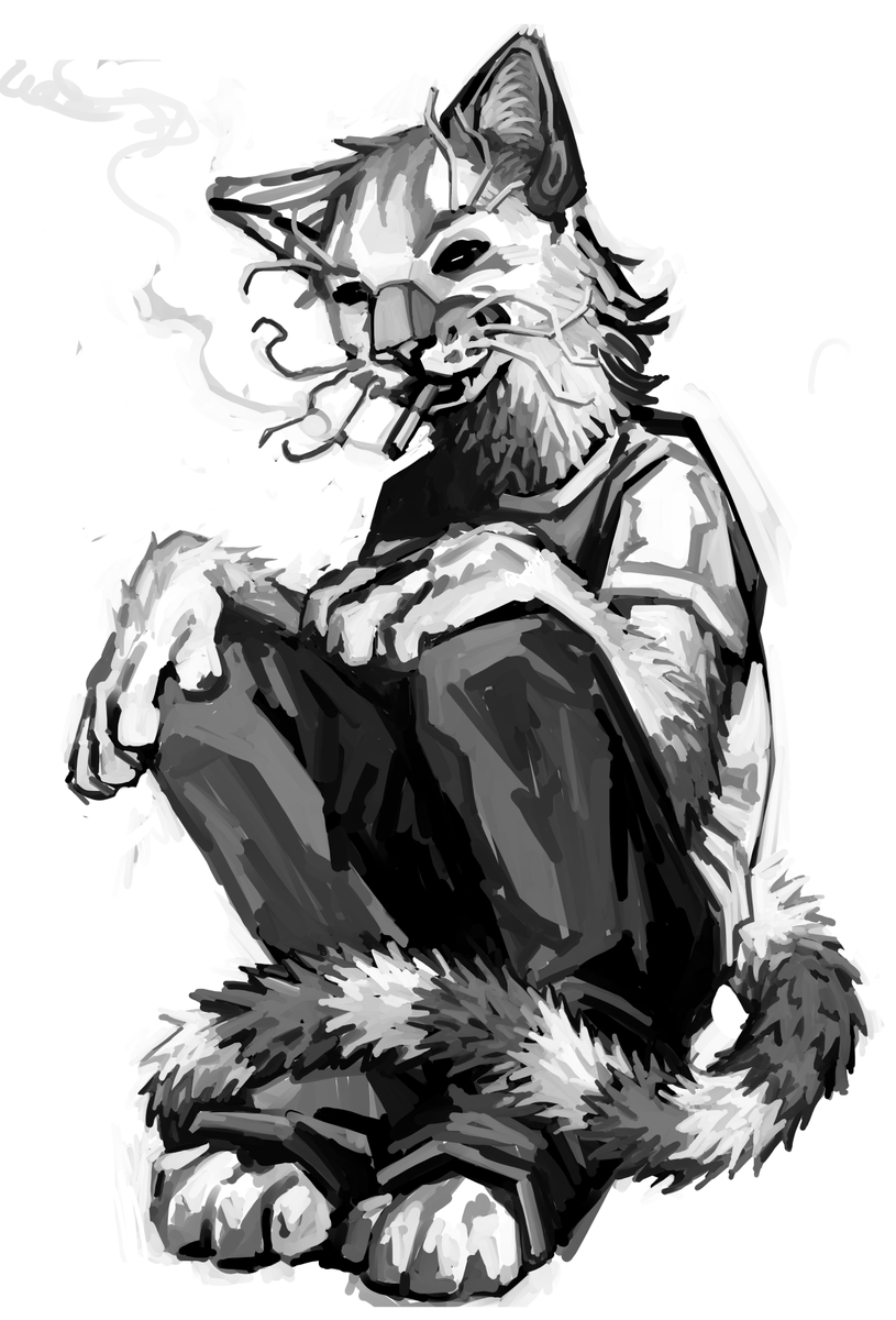 gougervi's tweet photo. tabby https://t.co/ZRVqMGginl