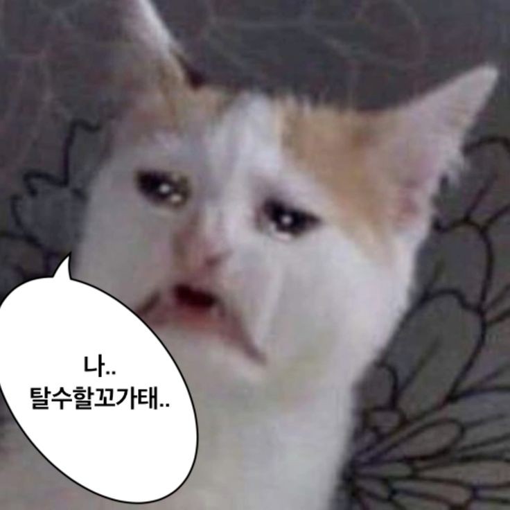 폭싹속았수다 몰아본 후기