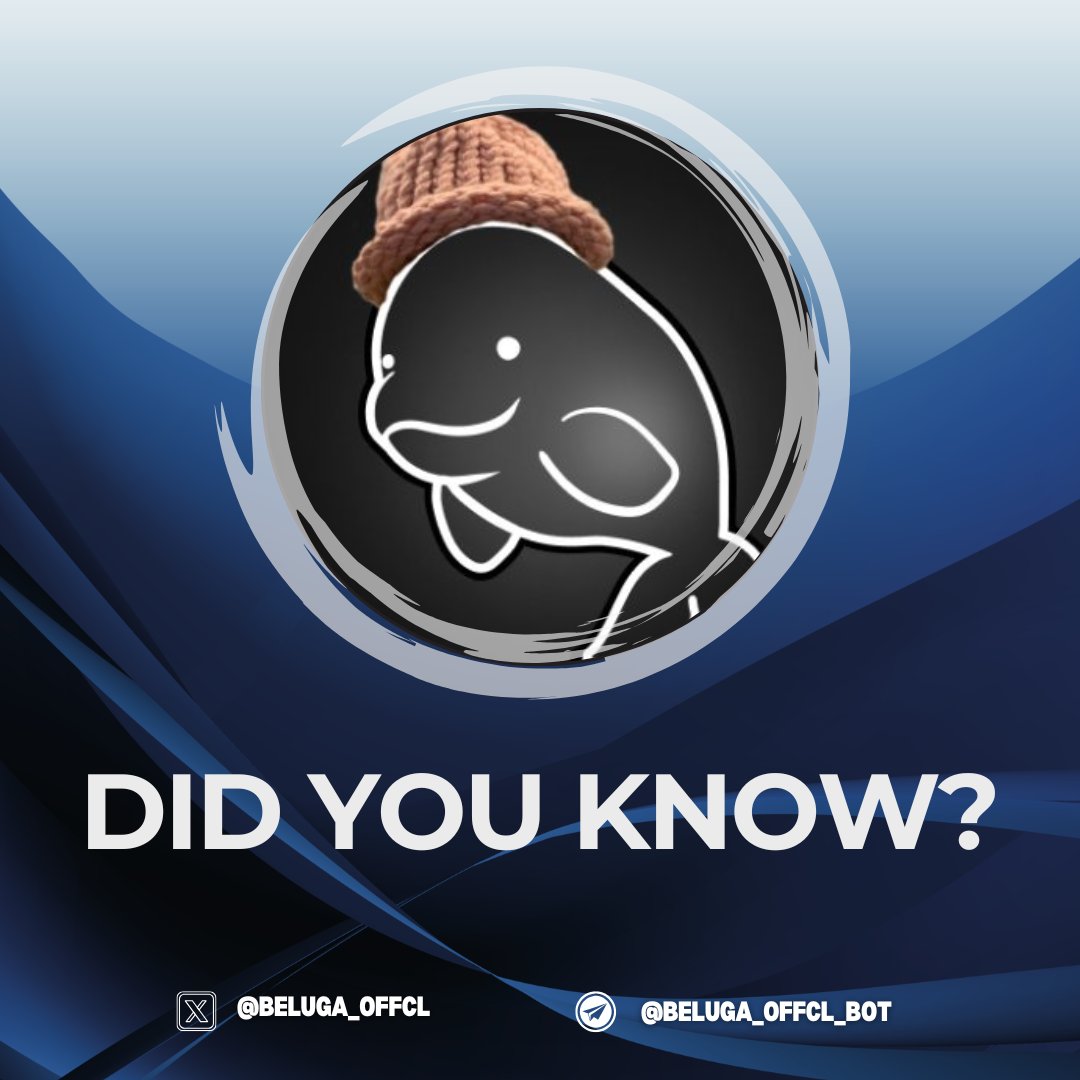 When you grab your referral link from the Beluga bot and send it to a friend, you can earn up to 1,000 $Beluga when they start playing! 🎉

 How many invites can you rack up? 
t.me/beluga_offcl_b…

#referral #invites #Beluga #ton #bot #farm #earn #vibes #motivated