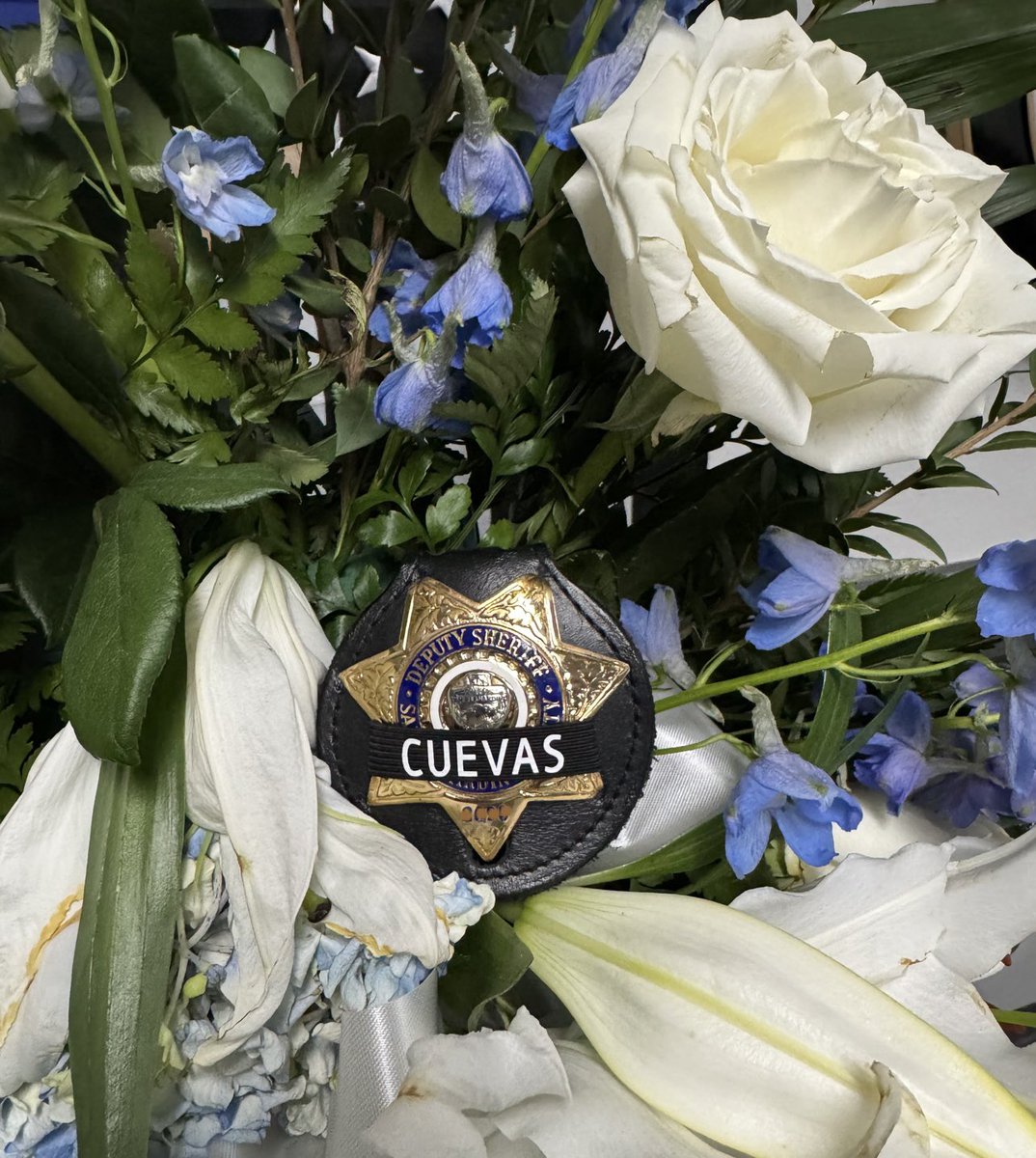 HonorBands (@honorbands2) on Twitter photo 