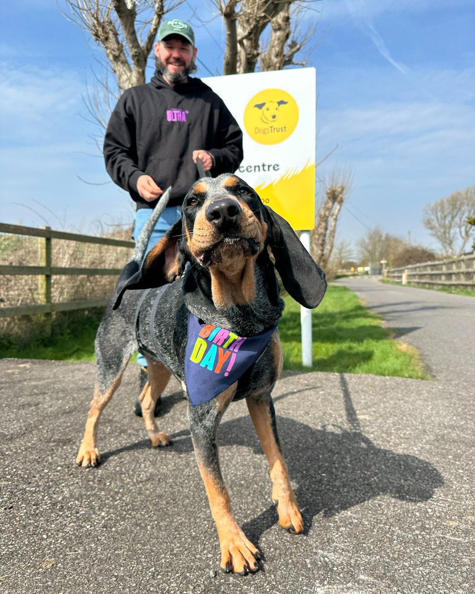 Everyone please wish Diego at <a href="/DT_Shoreham/">Dogs Trust Shoreham</a> a very happy birthday today 🎈🐶 To celebrate, one of his very best friends Ed took him on a special off-site adventure!