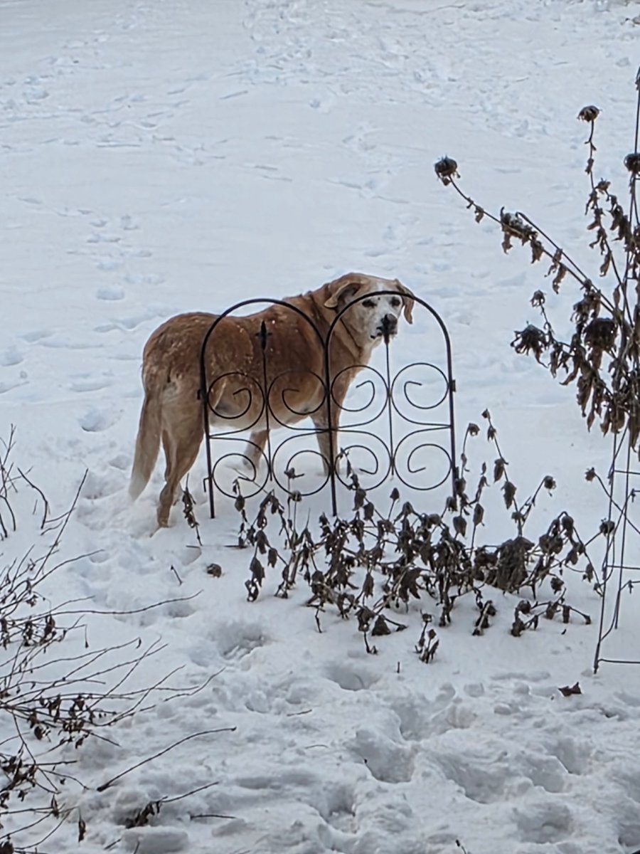 _bled4dayz_ tweet media