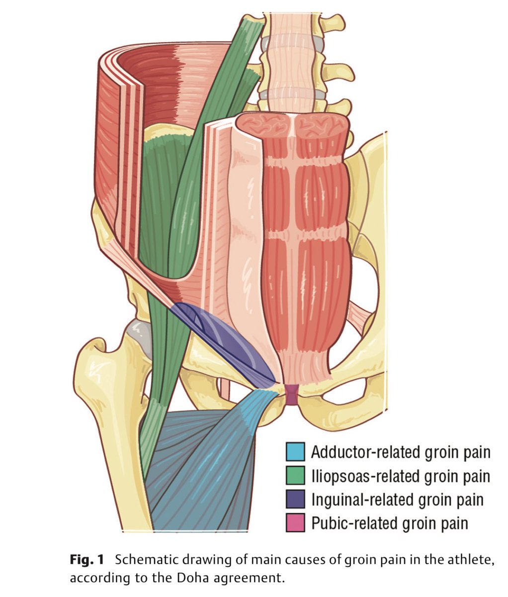 sergio serrano belmar tweet media