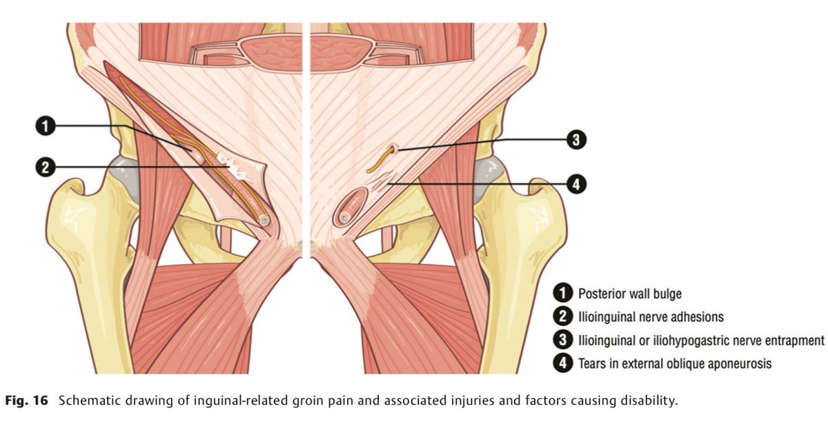 sergio serrano belmar tweet media