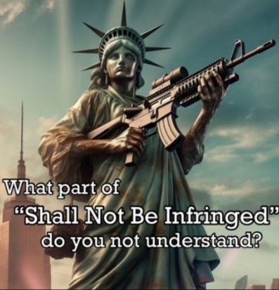 DontTreadOnUS's tweet image. #ShallNotBeInfringed