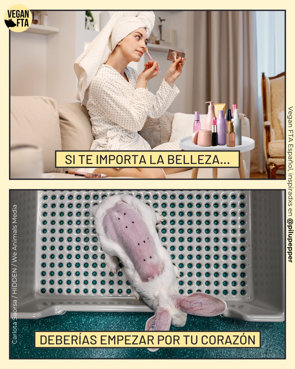 VeganFTAEspanol's tweet photo. Más vale la belleza interior 🙌
Empatiza con los animales y deja de consumir cosméticos testeados en ellos 💅🙏
Vive vegan 💚
📸 @VeganFTAEspanol, inspiradxs en pilupepper en IG
#cosméticos #labiales #esmaltedeuñas #sintesteoanimal #crueltyfreebeauty https://t.co/gbwBGoeFHq