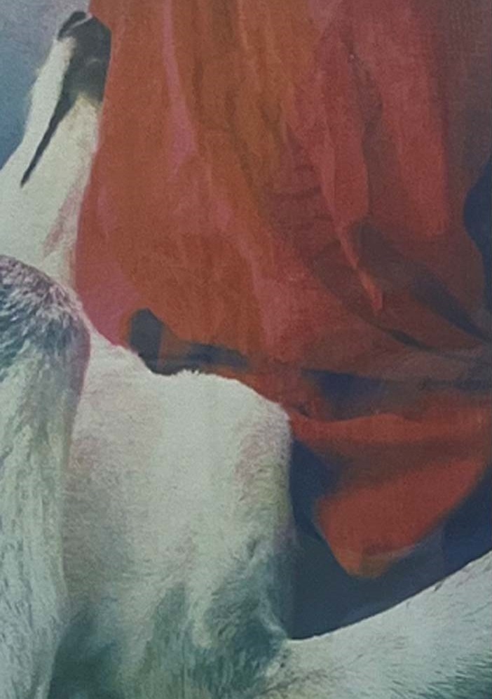 OCAD's tweet image. Join artist nancy halifax for the &quot;Transformative Access&quot; closing event! Reflect on companion animals through image description &amp;amp; poetry.
📅 April 10, 6 PM
📍 Tangled Art + Disability, 401 Richmond St. W, Suite 124
More info: bit.ly/4hLnBQ0 
#DisabilityArts #OCADU