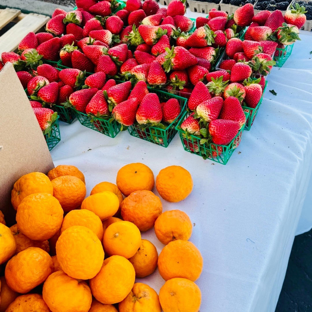 BGCMalibu (@bgcmalibu) on Twitter photo ๐๐ฅ FREE Organic Produce! Visit the BGCM Disaster Relief Center on Wednesday, March 26th from 12-5PM. Swing by to stock up on organic fruits and veggies for FREE! A big thanks to <a href="/wckitchen/">World Central Kitchen</a> for supporting!
๐23357 PCH | Hours of Operation: Wed-Fri 10a to 5p, Sat 11a to 4p ๐๐ฅ FREE Organic Produce! Visit the BGCM Disaster Relief Center on Wednesday, March 26th from 12-5PM. Swing by to stock up on organic fruits and veggies for FREE! A big thanks to <a href="/wckitchen/">World Central Kitchen</a> for supporting!
๐23357 PCH | Hours of Operation: Wed-Fri 10a to 5p, Sat 11a to 4p