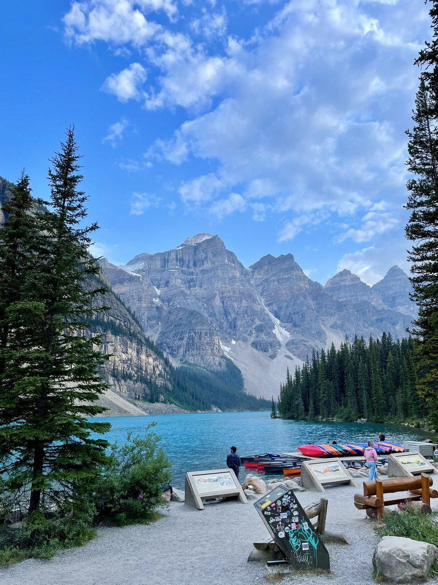 Ash Mishra tweet media