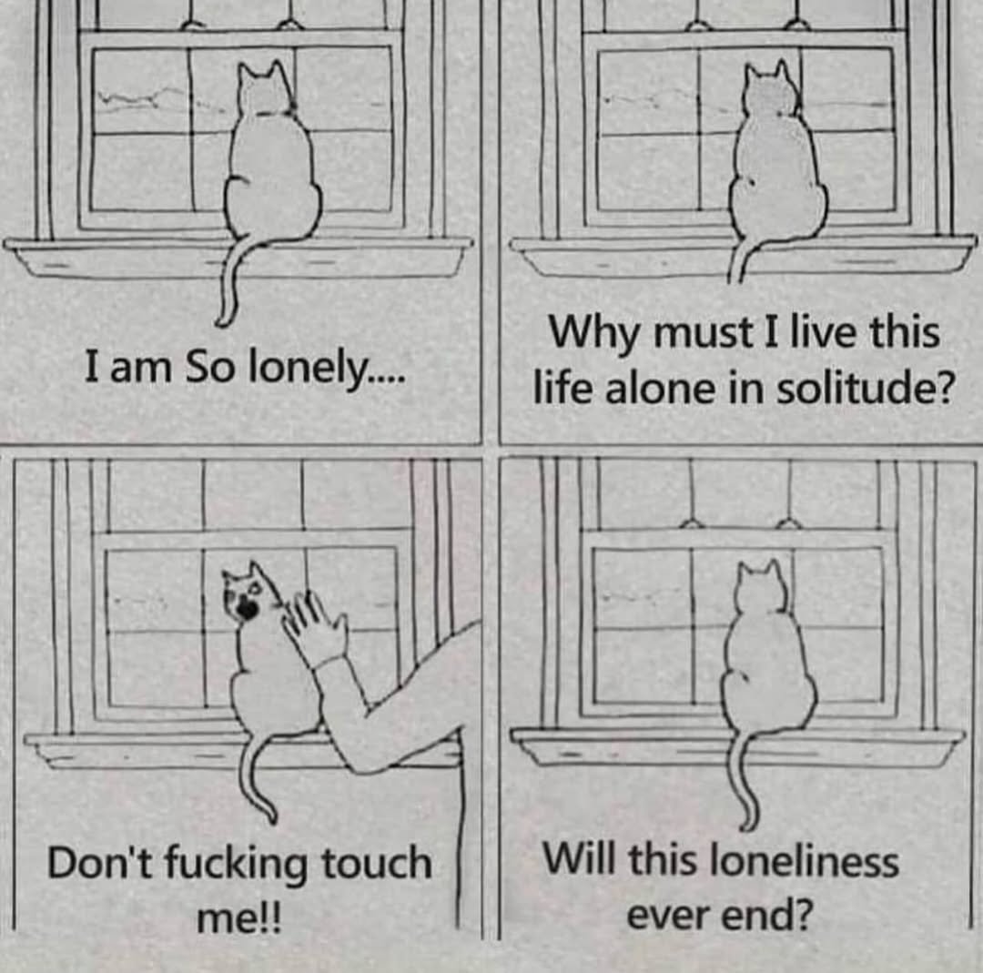 contents that ll heal your depression 🌻 (@catshealdeprsn) on Twitter photo 