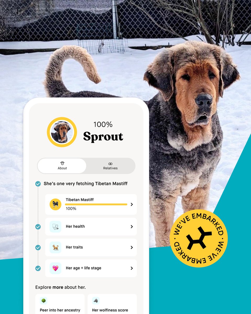 embarkvet tweet media