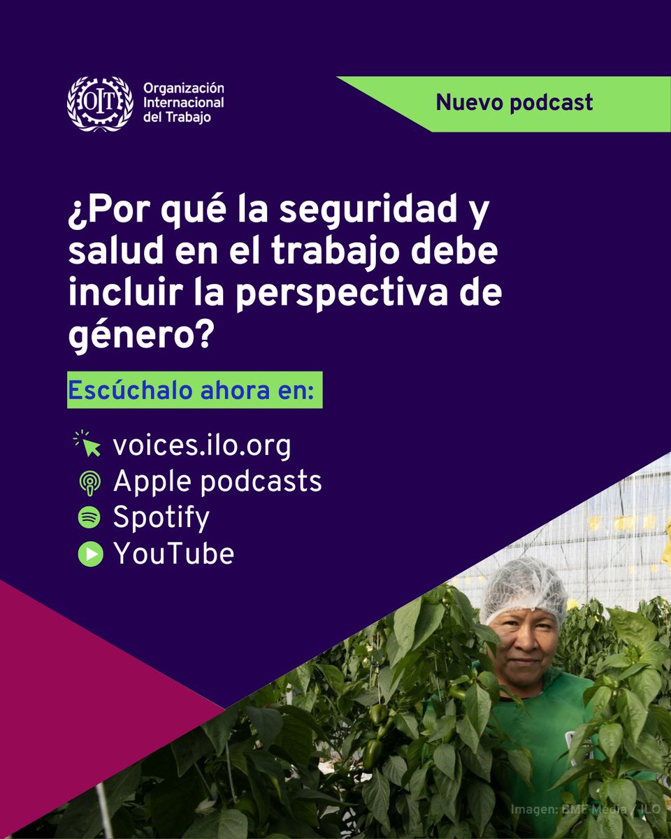 🎙️ Nuevo episodio del #FuturoDelTrabajo

🔊 Trabajo seguro para todas y todos: por qué la #SST debe incluir la perspectiva de género.

📌 Riesgos invisibles, sesgos médicos y políticas necesarias en Iberoamérica.

🎧 Escúchalo👉 voices.ilo.org/es-es/podcast/…
#IgualdadDeGénero <a href="/OissSec/">OISS</a>