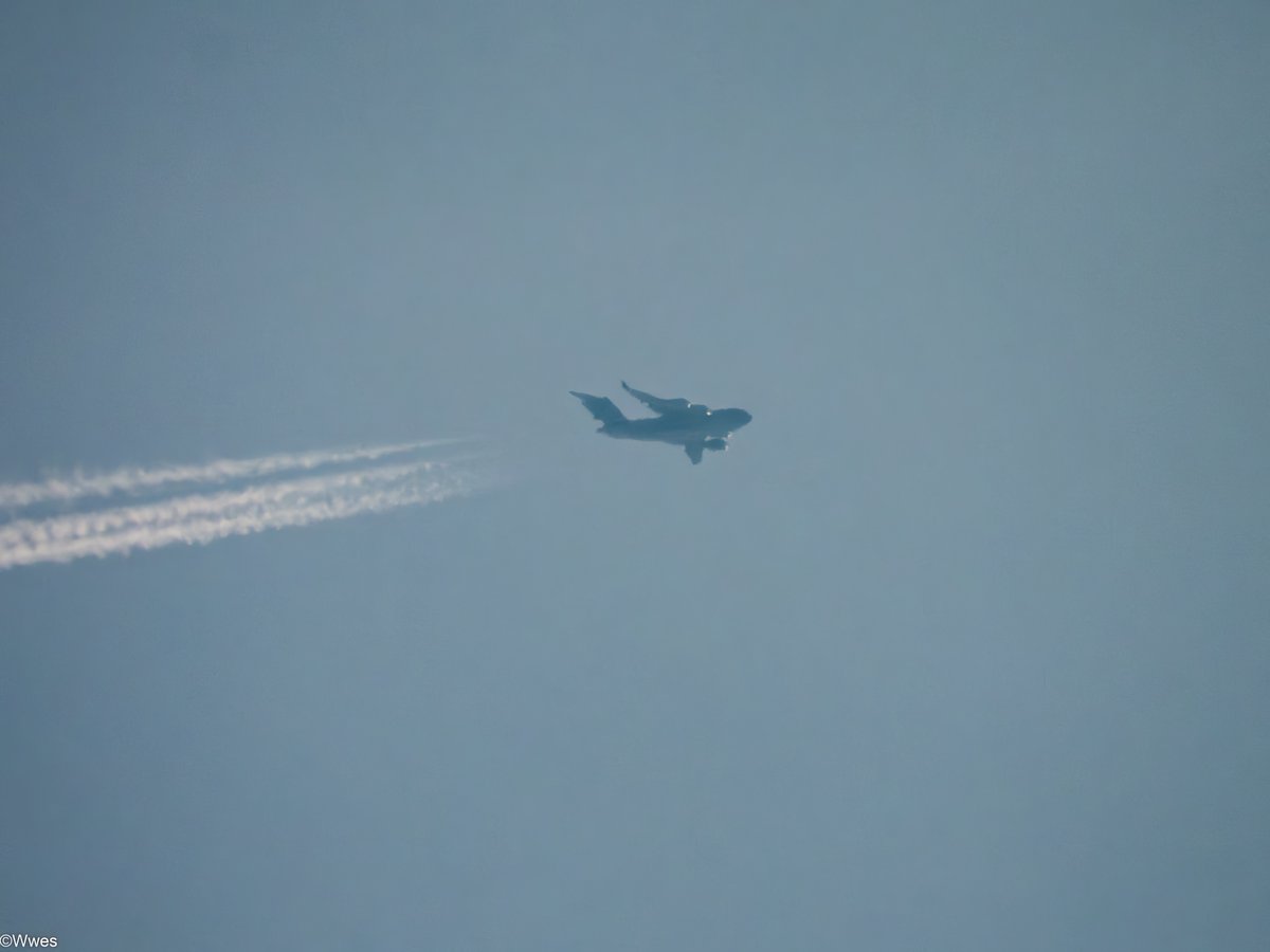 wesleyb1989's tweet photo. March24:
#RCH288 (#Charleston) #AE080F (99-0169) #USAF #C17 Boeing C-17A Globemaster III (#30025ft)  

(#NLspot #Planespotting #Nikon #P950 #P1000 #Aviation #Avgeek #ADSB) https://t.co/ZlT8H7hVKv