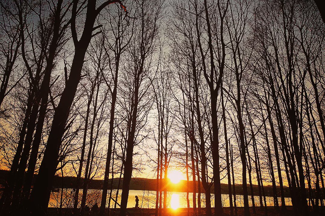 Um sich schöne Sonnenuntergänge anzuschauen, #reisen Gruber u. Finn in meinem #Roman "Die #Pandajäger" nicht nach China. Links zum #Buch u. #eBook 👉 hmm-info.de/e-books/die-pa…

#Lesetipp #Abenteuer #Action #Thriller #Buchtipp #Spannung #China #Autor #heinermic #lesenswert #Lesen