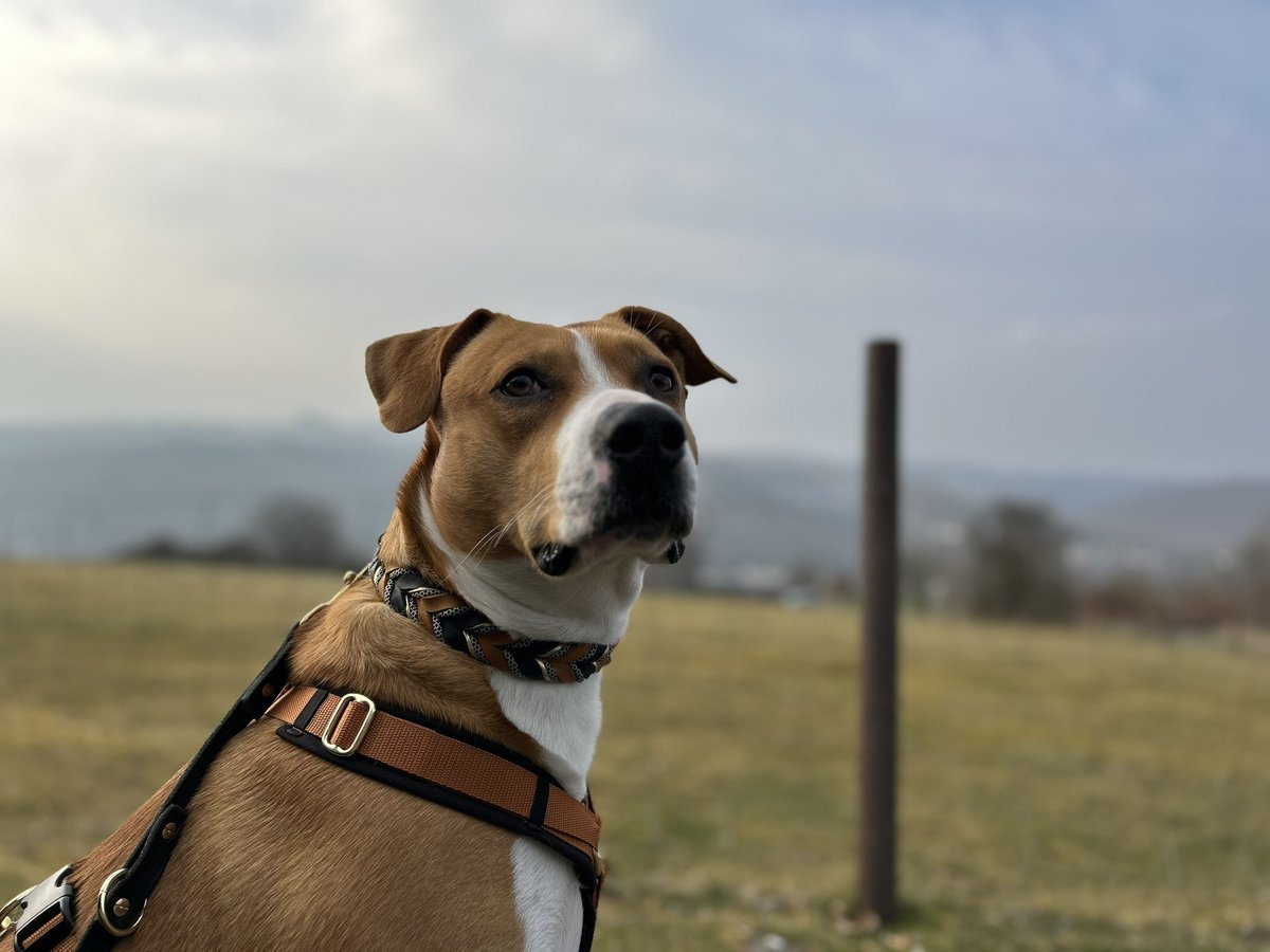 KiliFast (@m7kili) on Twitter photo 