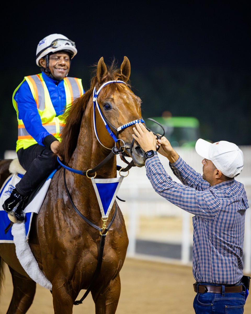 🚨 Updated: #DWC25 Likely Fields: 👇

drcwebblob.blob.core.windows.net/drcwebmediacon…

📸 Rattle N Roll (Dubai World Cup)