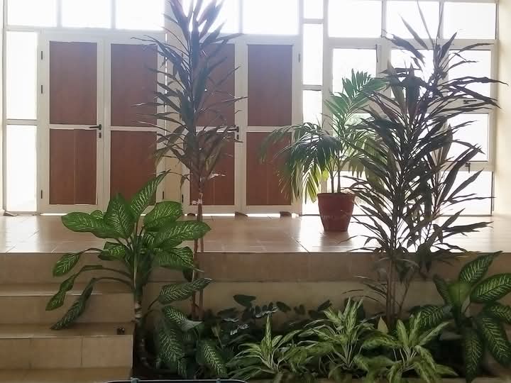 Listo el Crematorio para las Provincias de #CiegodeAvila y #SanctiSpiritus,  hoy concluyó el mantenimiento. También un reconocimiento para sus Trabajadores.
#FlorenciaVaConTodos
#CiegoEn26 #LatirAvileño