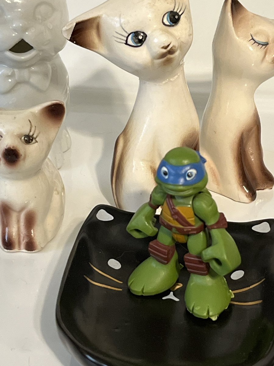 leonardo ⋆｡°✩ tweet media