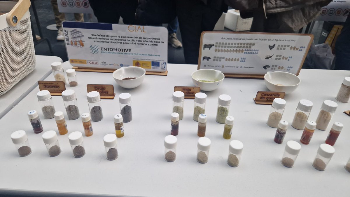 🔬 Además, visitamos los proyectos ALGACTIVE, que desarrolla ingredientes bioactivos a partir de microalgas, y ENTOMOTIVE, que emplea insectos 🦗 para valorizar residuos agroalimentarios en productos beneficiosos para la salud.
🌍🌱 Innovación y sostenibilidad en acción 🇪🇺#FEDER