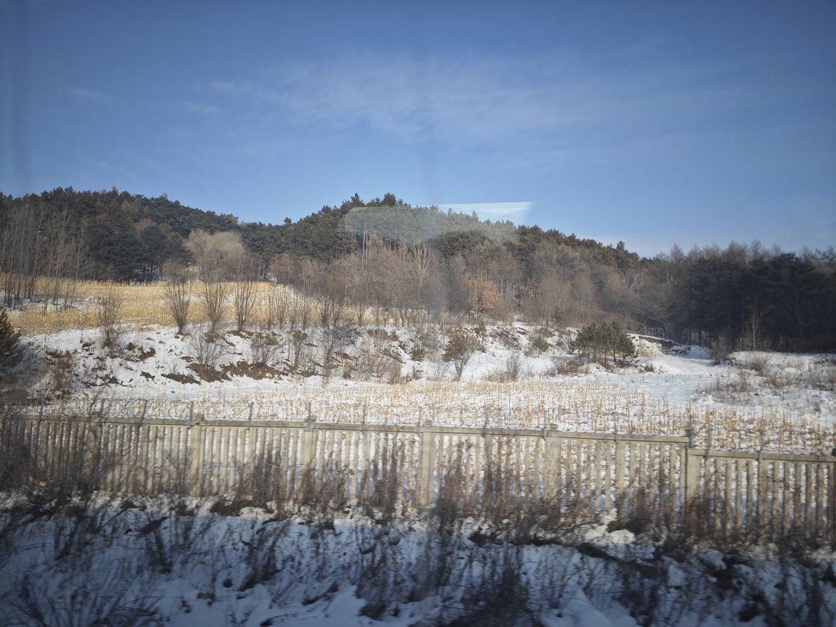 林某准备以后每天都发一条树洞帖，有什么想吃的饭，或者有什么想和林某分享开心事情，又或者遇到了什么不开心的事情想发泄一下，大家都可以在每天的树洞帖下面发发
3.26日树洞帖
今天小林的建议是：
明天要认真吃早饭🍞🥛