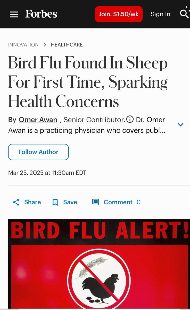 Omer Awan MD MPH (@awanrad) on Twitter photo My latest in <a href="/Forbes/">Forbes</a> - Bird Flu Found In Sheep For First Time! forbes.com/sites/omerawan…. <a href="/DrIanWeissman/">Ian Weissman, DO</a> <a href="/DrLindaMD/">Linda Girgis MD</a> <a href="/doritmi/">(((Dorit Reiss)))</a> <a href="/rstraxMD/">Richard Strax, MD, FACR ☯️</a> <a href="/jonathanstea/">Dr. Jonathan N. Stea</a> <a href="/CaulfieldTim/">Timothy Caulfield</a> <a href="/pash22/">Ash Paul</a> @paimadhu <a href="/birdflu_updates/">Bird flu updates</a> <a href="/BirdFluStudies/">Bird Flu Studies</a> <a href="/AvianInfluenza_/">ai❄️</a> My latest in <a href="/Forbes/">Forbes</a> - Bird Flu Found In Sheep For First Time! forbes.com/sites/omerawan…. <a href="/DrIanWeissman/">Ian Weissman, DO</a> <a href="/DrLindaMD/">Linda Girgis MD</a> <a href="/doritmi/">(((Dorit Reiss)))</a> <a href="/rstraxMD/">Richard Strax, MD, FACR ☯️</a> <a href="/jonathanstea/">Dr. Jonathan N. Stea</a> <a href="/CaulfieldTim/">Timothy Caulfield</a> <a href="/pash22/">Ash Paul</a> @paimadhu <a href="/birdflu_updates/">Bird flu updates</a> <a href="/BirdFluStudies/">Bird Flu Studies</a> <a href="/AvianInfluenza_/">ai❄️</a>