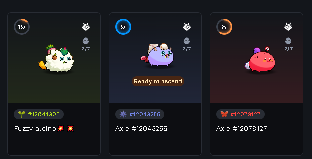 🚨GIVEAWAY TEAM <a href="/AxieInfinity/">Axie Infinity</a> 🚨

Family <a href="/Over7_ron/">Over.ron❤️</a> and I have purchased these 3 wonderful axies to give away to a lucky member of the <a href="/Ronin_Network/">Ronin</a> community 🐐

We think a lot of people want to start or replay for the release of the next game so we thought it was a good idea