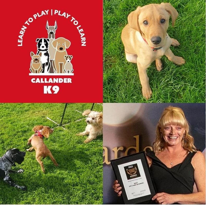 Trossachs Directory (@trossachsdirect) on Twitter photo Callander K9 is a reliable, professional dog walking, dog training and pet care business based in Callander. With a secure adventure dog playground & purpose built training area to suit your individual needs.
M: 07913 656650
E: leah@callanderk9.com
W: callanderk9.com Callander K9 is a reliable, professional dog walking, dog training and pet care business based in Callander. With a secure adventure dog playground & purpose built training area to suit your individual needs.
M: 07913 656650
E: leah@callanderk9.com
W: callanderk9.com