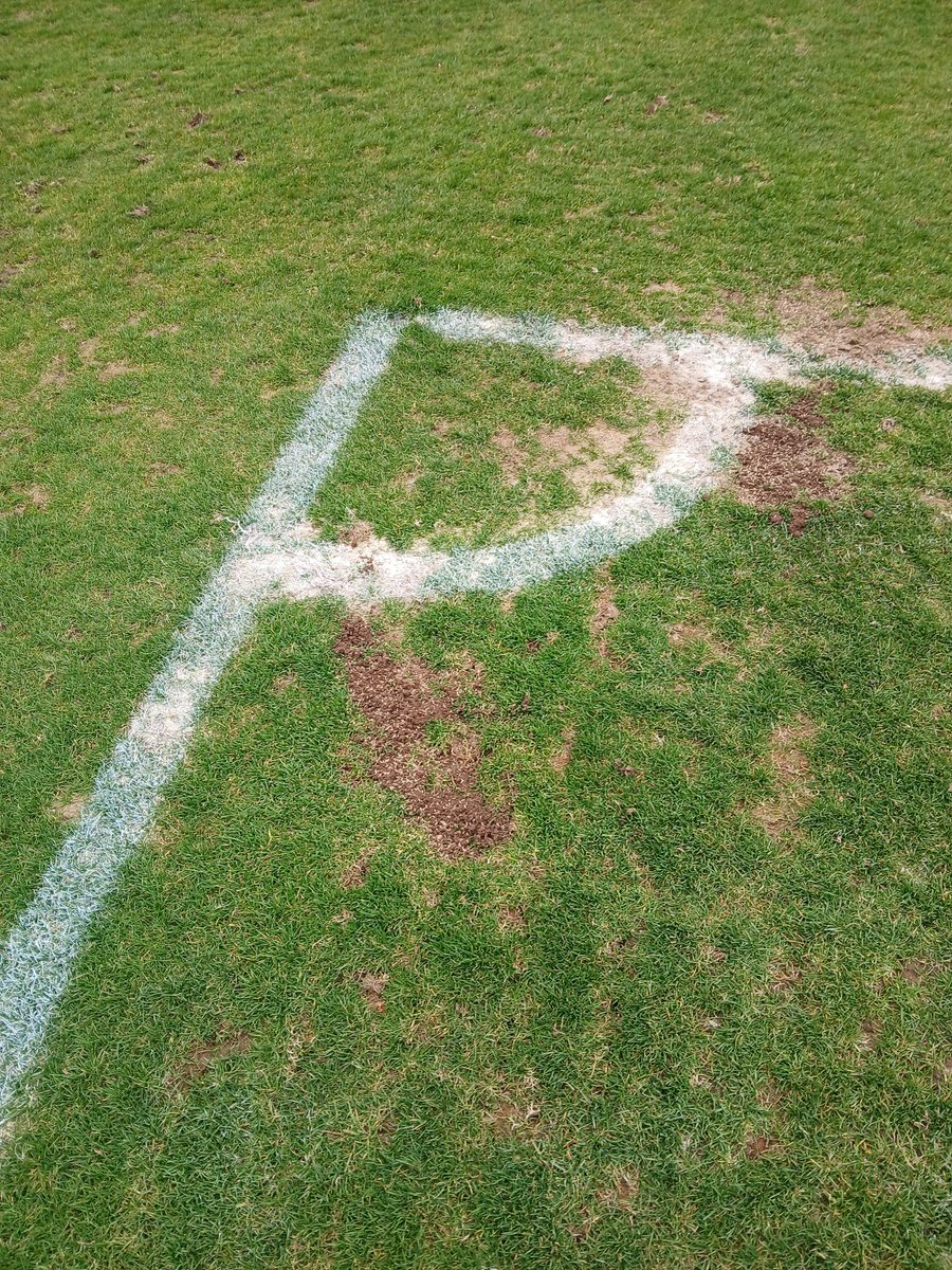 Another productive day at #stalbansfc. Repair work done,some Divots repaird. Also, top dressing is done with 50 50 mix. Both goal mouths have been repaired with 50 50 mix and seeded with grass seed, then rolled