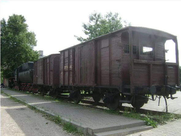 Lidé byli nahnáni do dobytčích vagónů, bez jídla, vody a hygieny. 

Nejmladším deportovaným bylo pouhých pár dní, nejstarším přes 90 let. 

Z Lotyšska deportovali přes 42 tisíc lidí, z Litvy 32 tisíc a z Estonska přes 20 tisíc. 

3% populace těchto zemí.