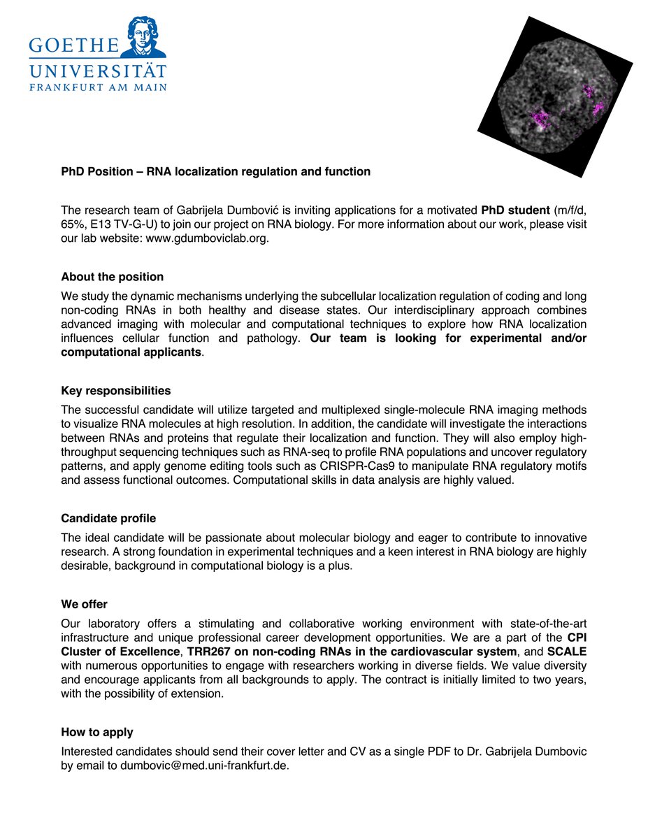 Our lab is looking for a PhD student to join us in exploring RNA biology! Details in the announcement. Feel free to reach out with any questions—and please RT!