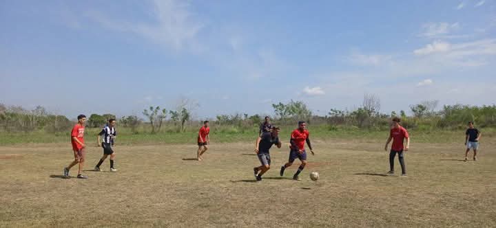 Vicedecanato Academico tweet media