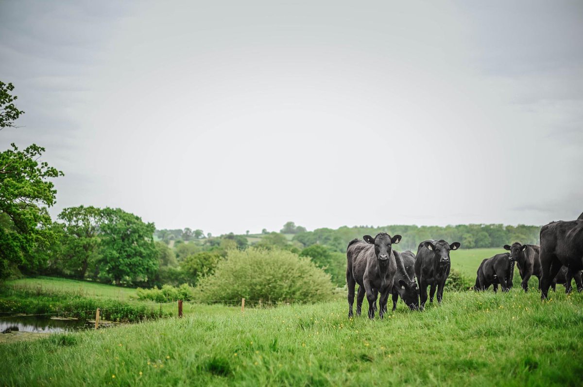 Gamechanger Farming tweet media