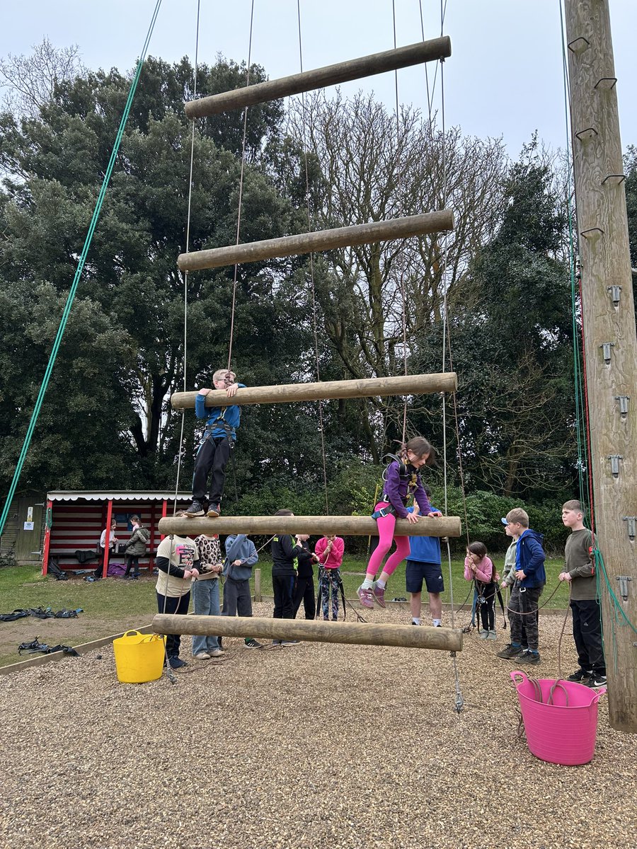 BVS Year 4 tweet media