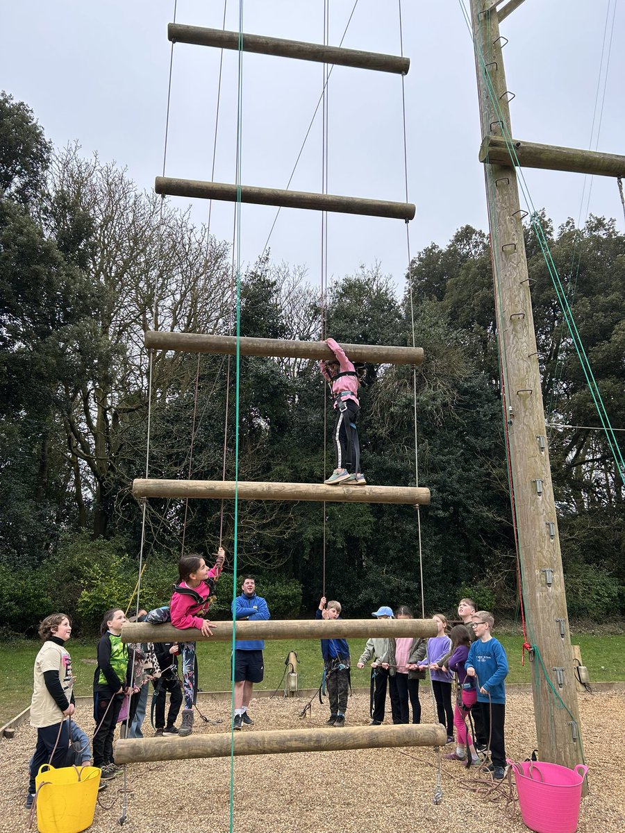 BVS Year 4 tweet media