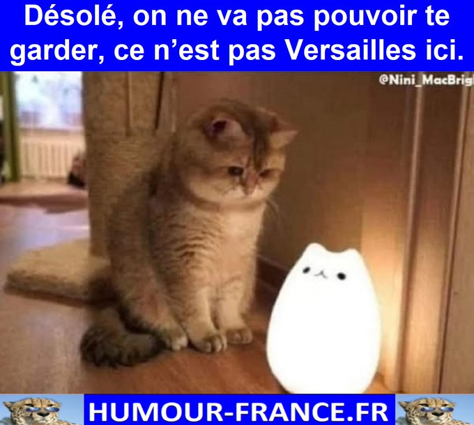 text alternatif