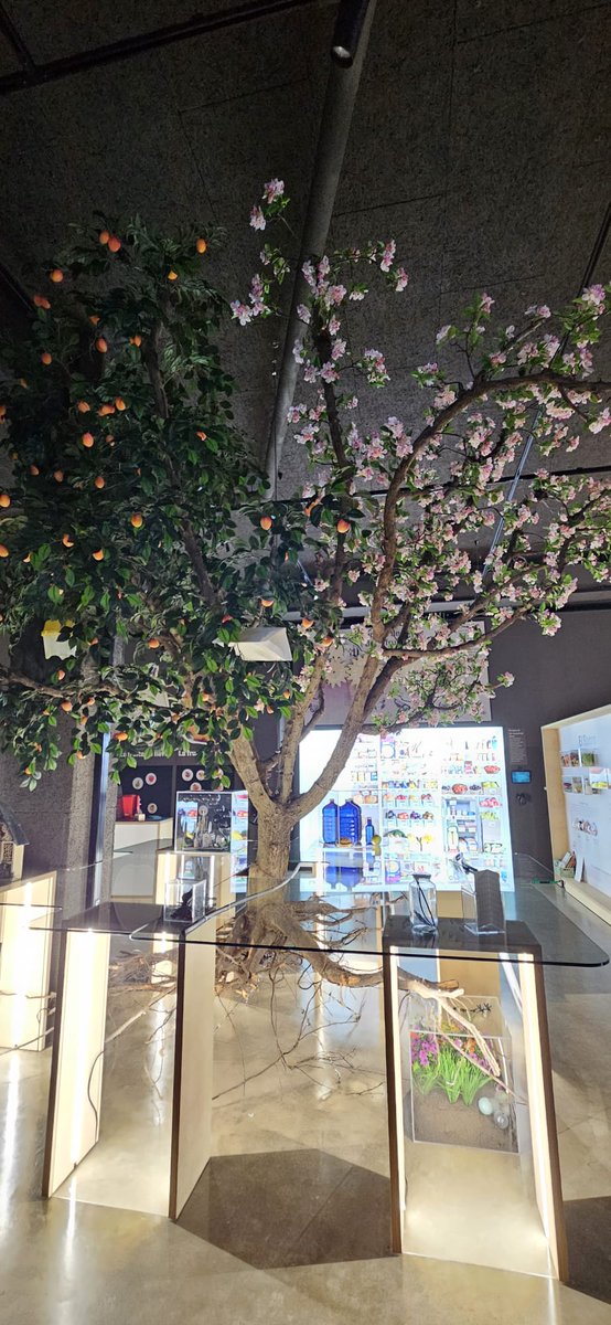 Ahir a través de la formació Steam, dos docents van visitar l'espai Cosmofruita a Lleida. El Cosmofruita, és un espai per experimentar i entendre l'origen de la fruita, els processos al camp i fomentar hàbits d'alimentació saludable.#Steam @cosmofruita <a href="/Esther_Pint/">Esther Pintó</a> <a href="/lorenapv1/">lorena pv</a>