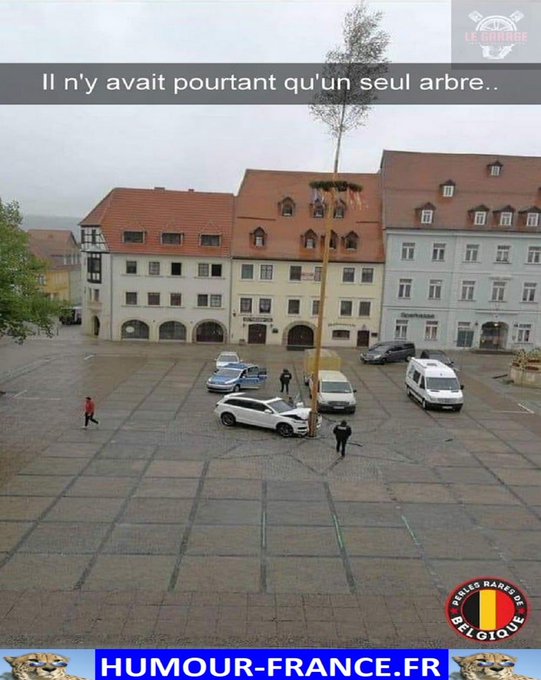 text alternatif