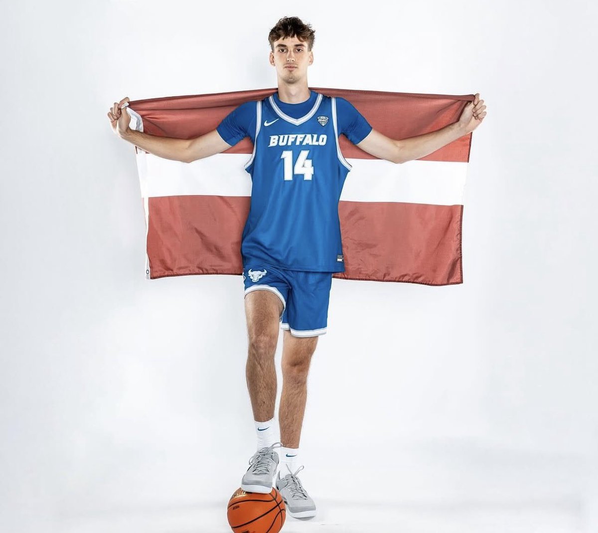 The Portal Report tweet media